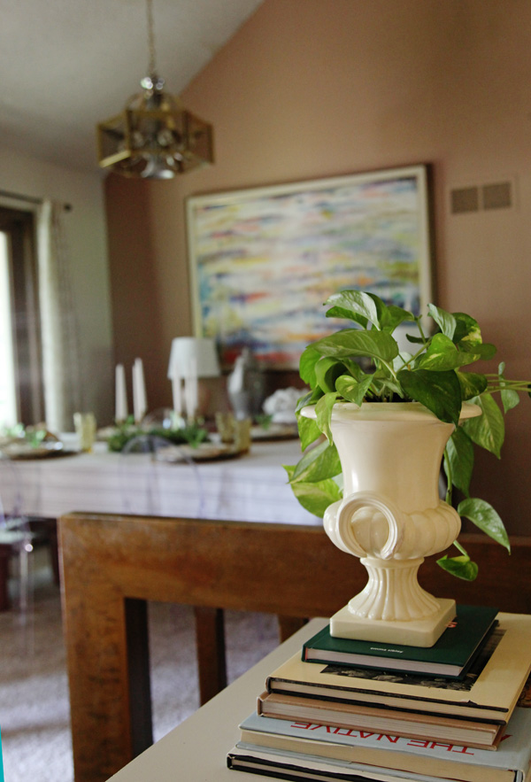 Using plants in your home decor to create a cozy home