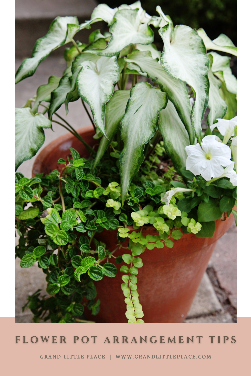 Flower Pot Arrangement Tips • Grand Little Place